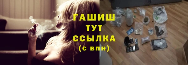 гидра Сясьстрой