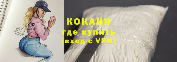 гашик Володарск