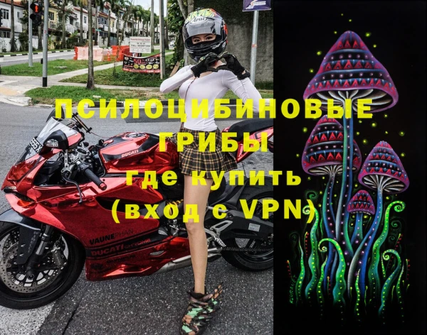 мдпв Волосово