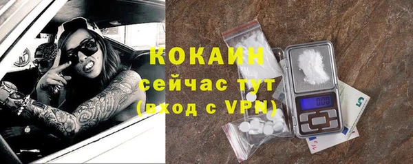 шишки Волоколамск