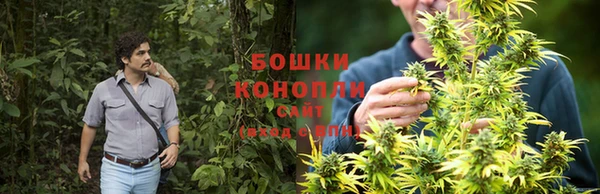 гашик Володарск