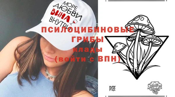 шишки Волоколамск
