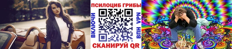 shop формула  сколько стоит  Хилок  Псилоцибиновые грибы Cubensis 